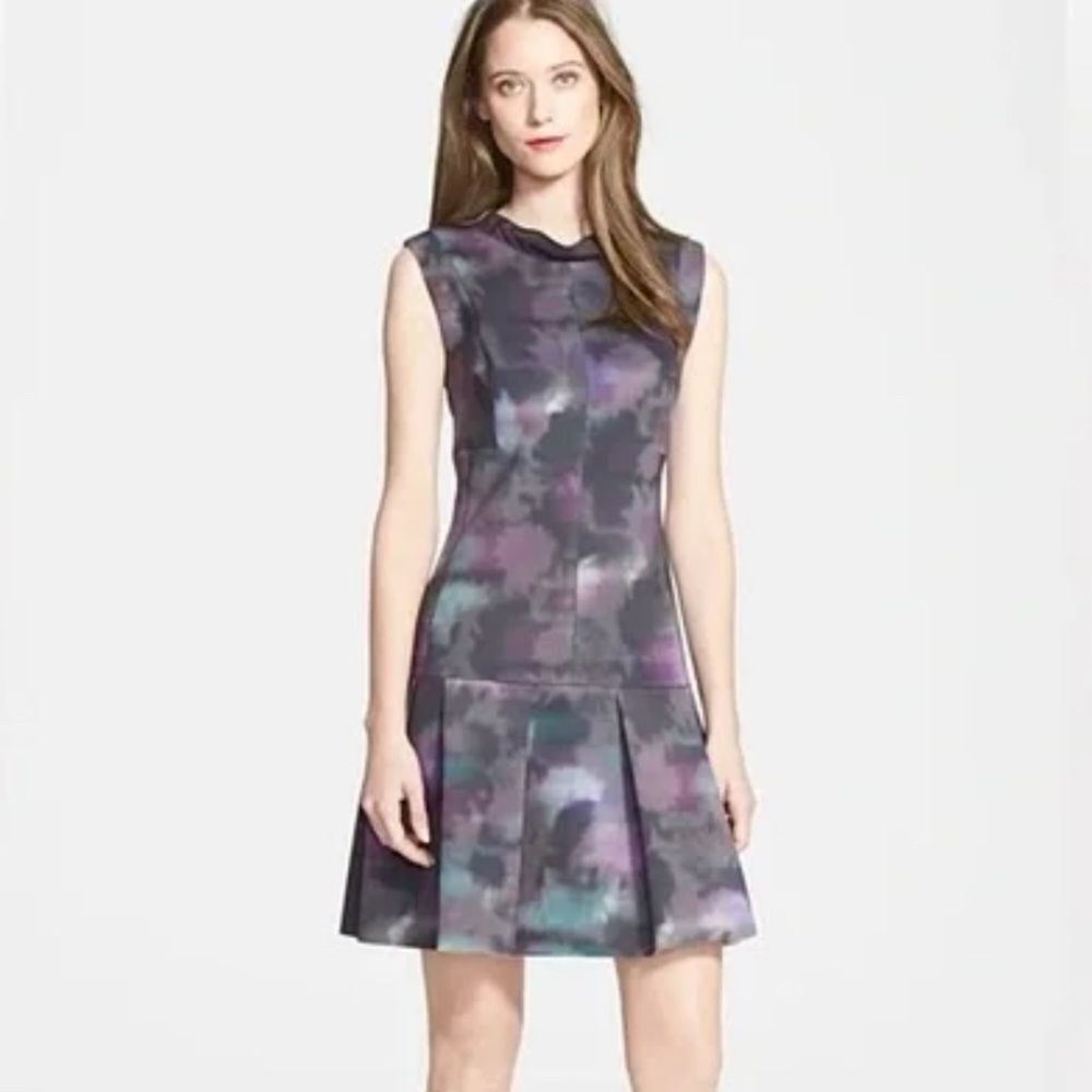 Rebecca Taylor Haze Floral Pleated Fit & Flare Dress